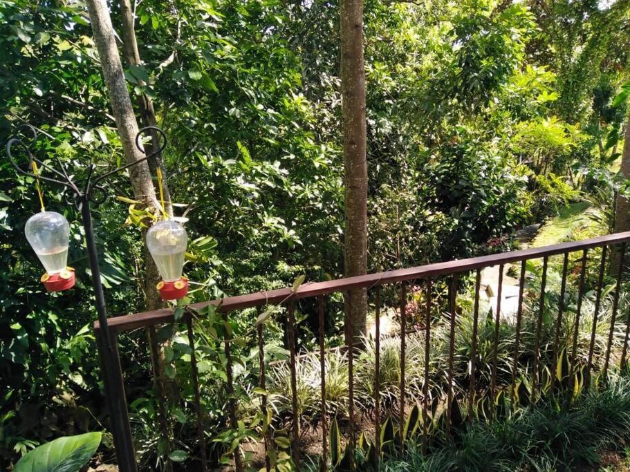 Eco Villas Tambor Tucanes Dış mekan fotoğraf