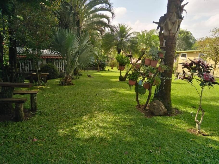 Eco Villas Tambor Tucanes Dış mekan fotoğraf