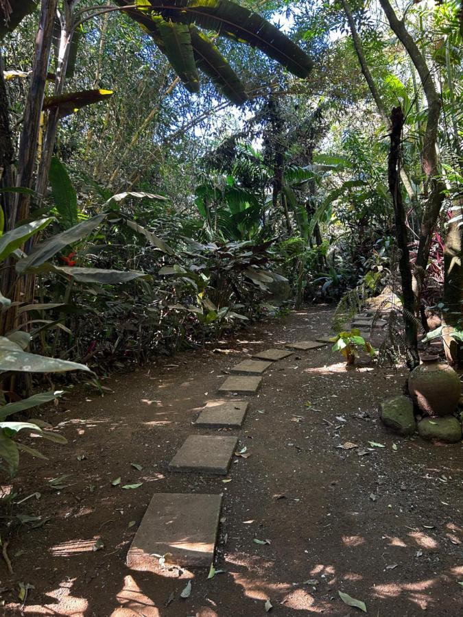 Eco Villas Tambor Tucanes Dış mekan fotoğraf