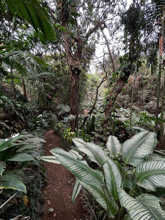 Eco Villas Tambor Tucanes Dış mekan fotoğraf