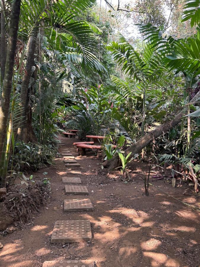 Eco Villas Tambor Tucanes Dış mekan fotoğraf
