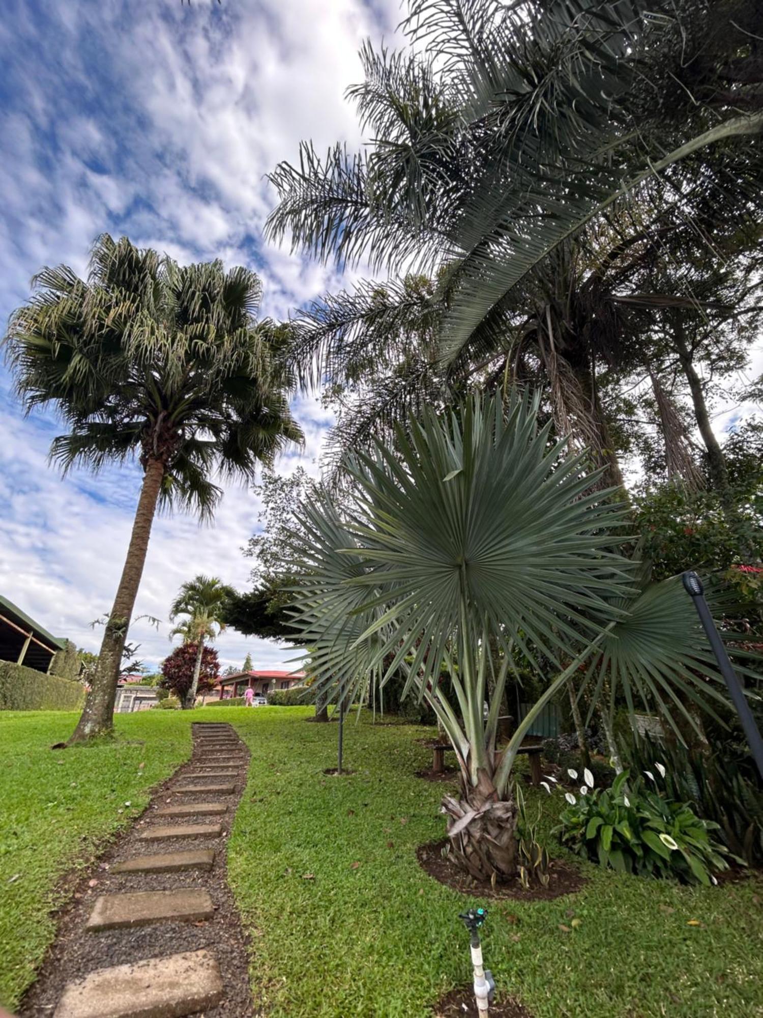 Eco Villas Tambor Tucanes Dış mekan fotoğraf