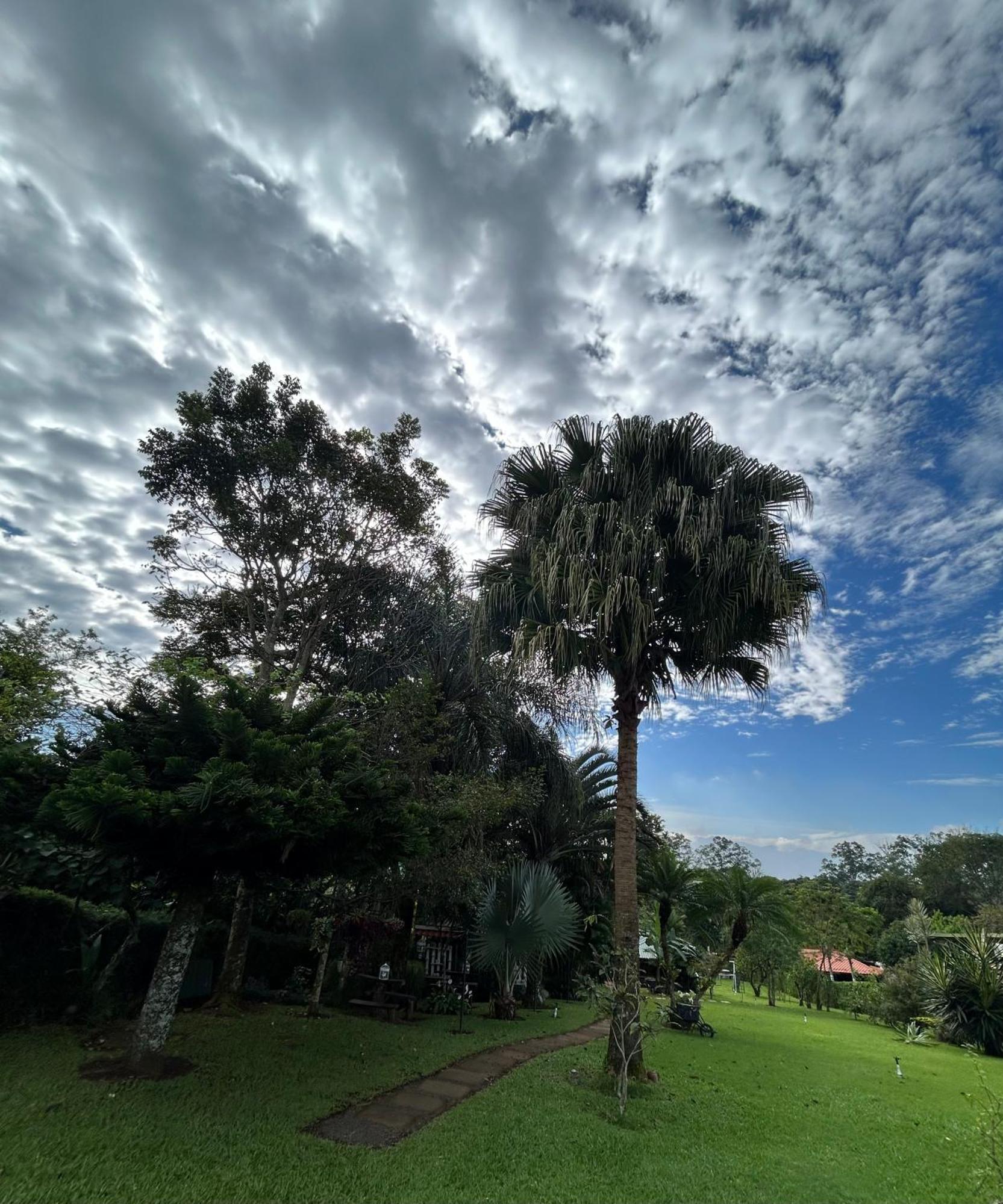 Eco Villas Tambor Tucanes Dış mekan fotoğraf